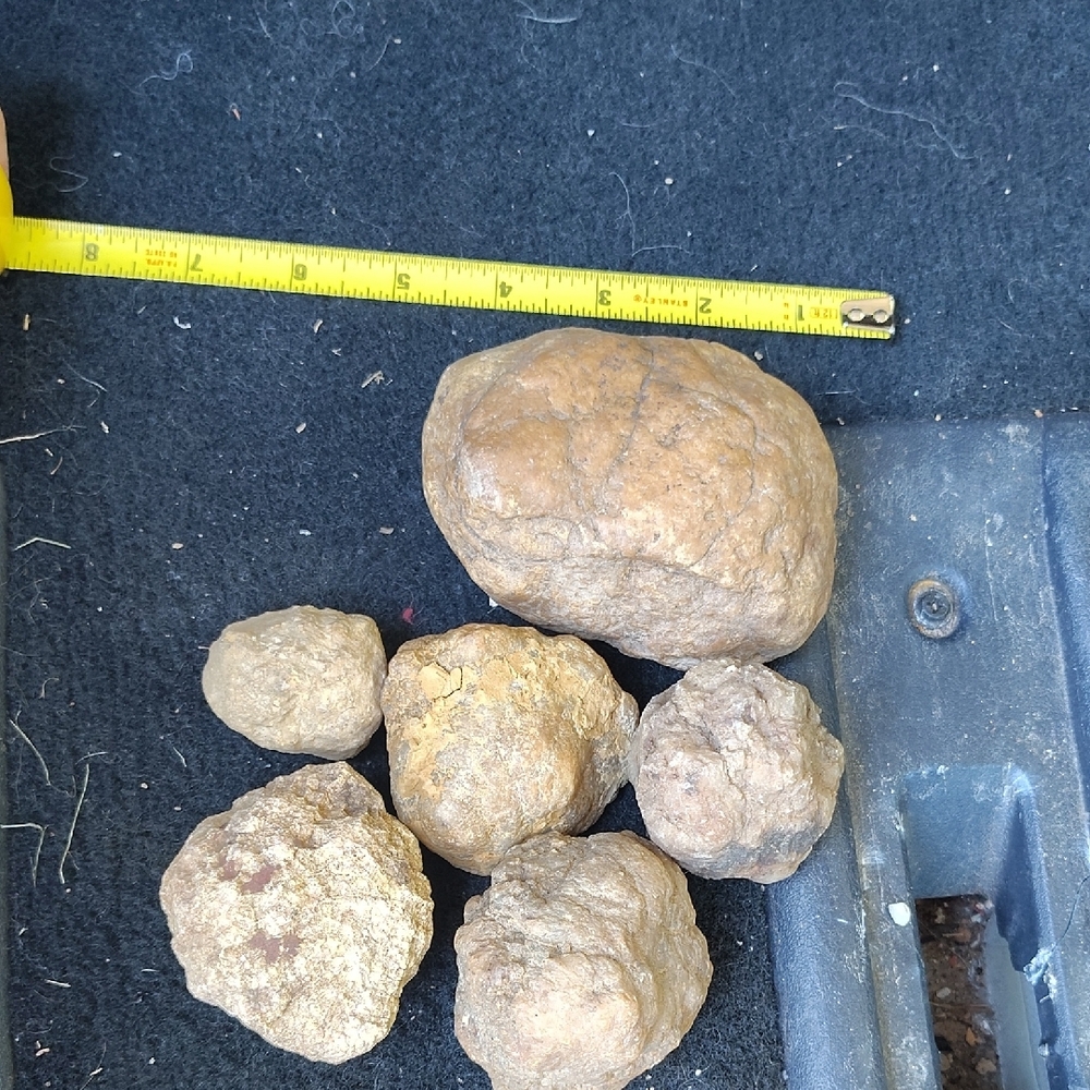 Geodes - Picture 2 of 5